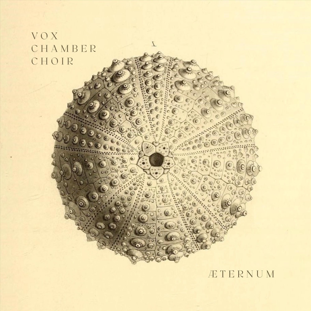 Aeternum album cover